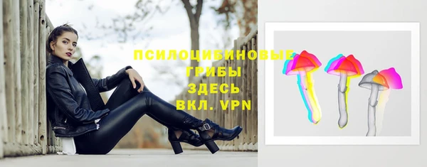 альфа пвп Бородино