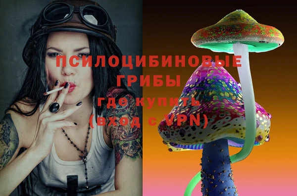 круглые Бронницы