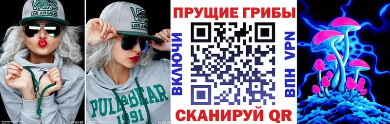 omg как войти  Волчанск  Псилоцибиновые грибы Cubensis  мориарти состав  где найти  